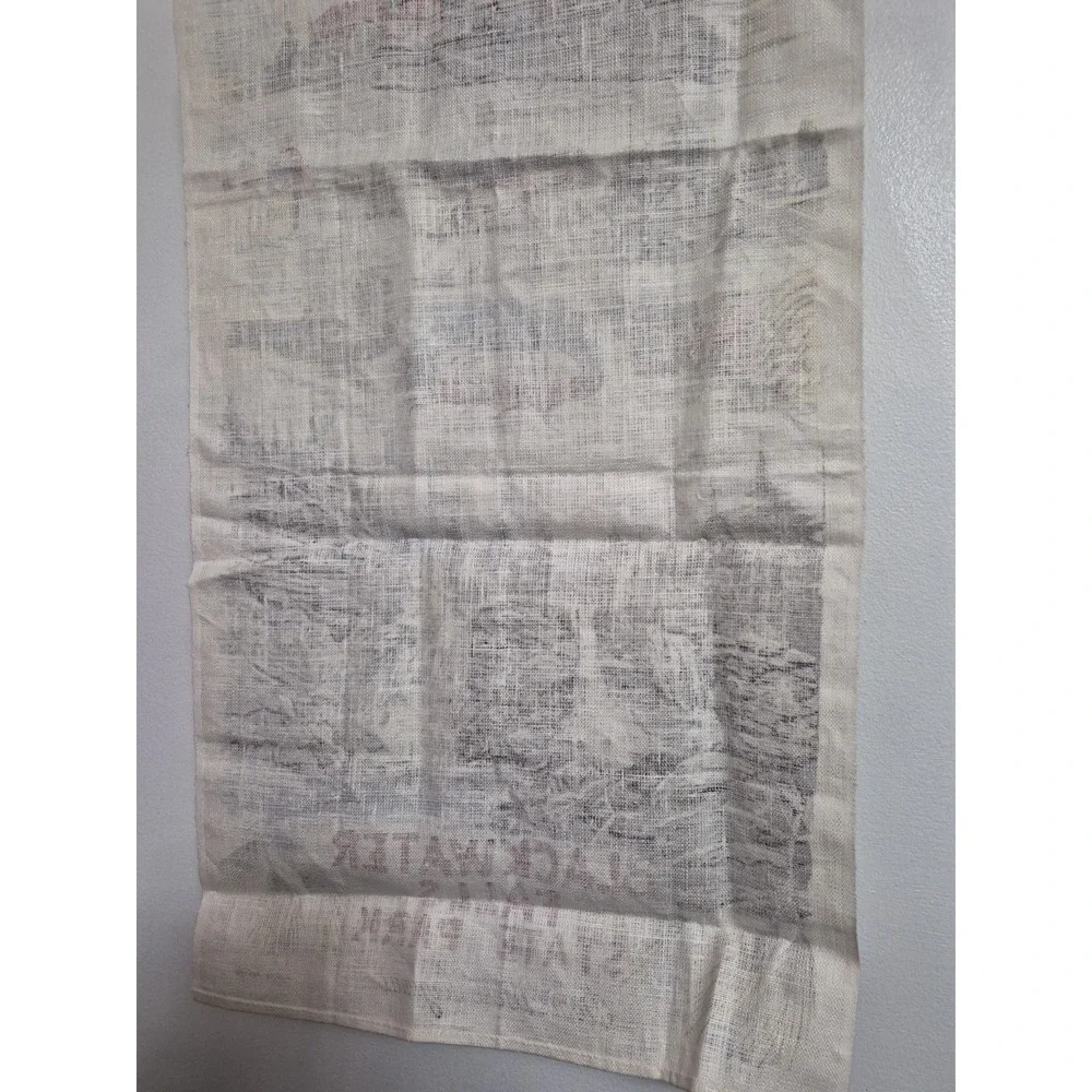 Blackwater Falls WV Souvenir Tea Towel Vintage Linen